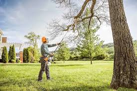 Bristol, FL Tree Services Company